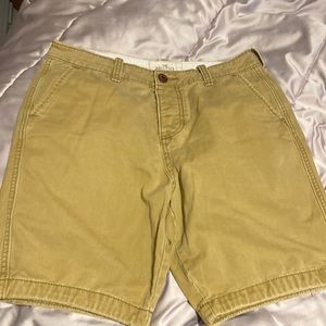 Hollister Size 30 men Shorts